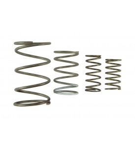 GenV WG60 Spring Replacement Kit