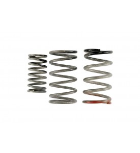 GenV WG38/40 HP Spring Replacement Kit