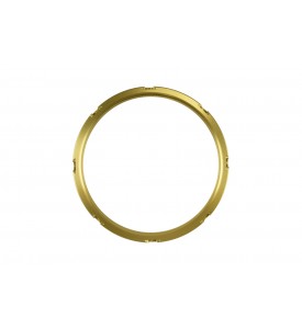 Gen V WG45/50 Actuator and ProPort Collar Gold