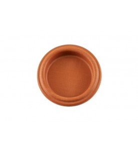 IWG75 Diaphragm Replacement