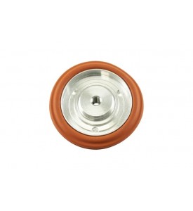 IWG75 Twin Port Diaphragm Assembly Replacement