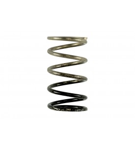 Gen V IWG 3 PSI Spring Replacement
