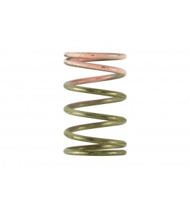 Gen V IWG 7 PSI Spring Replacement
