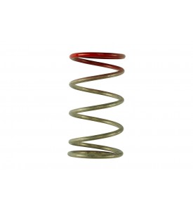 Gen V IWG 14 PSI Spring Replacement