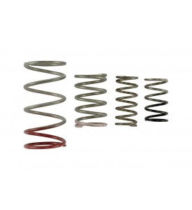 GenV IWG Spring Replacement Kit 