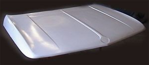Fiberglass Hood for 2002