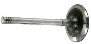 Intake Valve for M10 - Stock 46mm