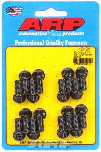 ARP Hardware - BB Chevy & Ford 3/8" 12pt header bolt kit