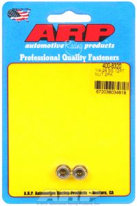 ARP Hardware - 1/4-28 SS 12pt nut kit