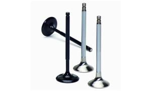 Valve Gudie Intake & Exhaust Ecotec 6mm stem Manganese Bronze OD: 10.04mm To be uSe with Seal VS-T6SM