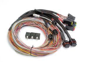Elite 550 Basic Universal Wire-in Harness 2.5m (8?)