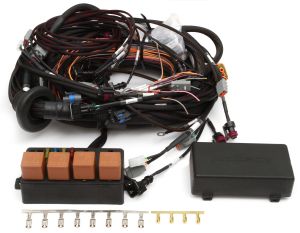 Elite 2000 V8 Big Block/Small Block GM, Ford & Chrysler Terminated Harness ECU Kit - Suits Bosch EV1 injector connectors