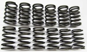 Single Valve Springs - Heavy Duty Street - M30 (early)