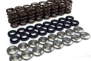 Single Valve Spring 73 @38.5mm (16) SPR-A2416 + (16)RET-T2Z/T2