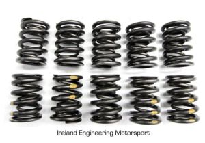 Dual Valve Springs - Race - M30
