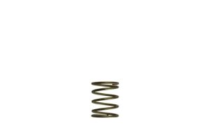 WG45/50 Gen-V 3psi Inner spring - Orange