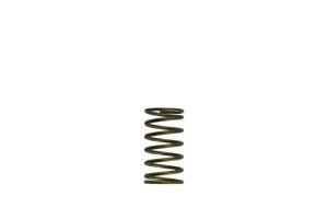 WG60 Gen-V 3psi Inner spring