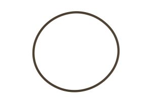 WG45/50 Actuator Cap O-Ring