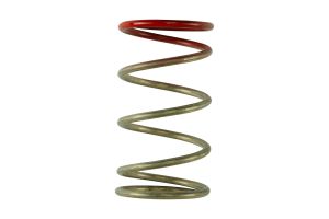 Gen V IWG 14 PSI Spring Replacement